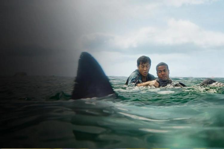 Un crash d'avion, des requins affamés, que vaut vraiment le film d'horreur Deep Water&nbsp;?