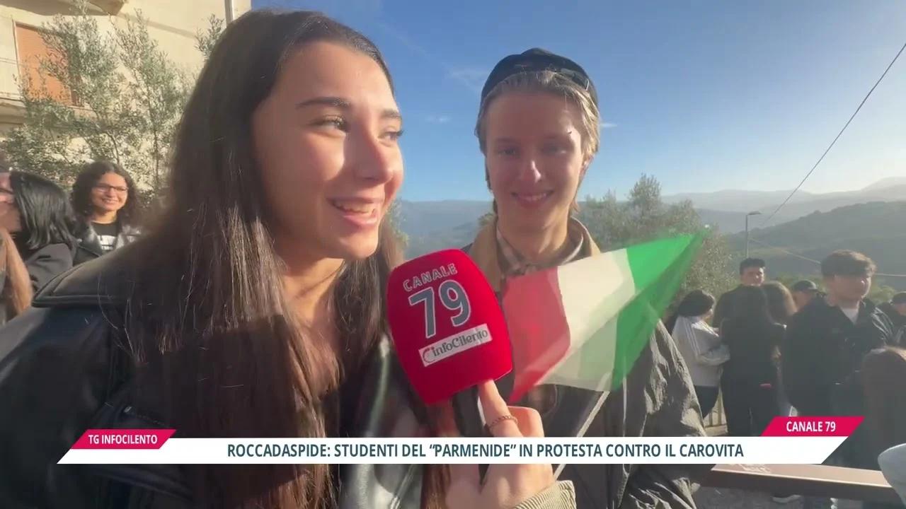 Caro carburanti e crisi economica: gli studenti di Roccadaspide in sciopero
