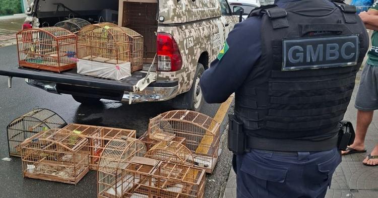 Aves mantidas em cativeiro são resgatadas pela Guarda Ambiental e encaminhadas ao Zoológico de BC