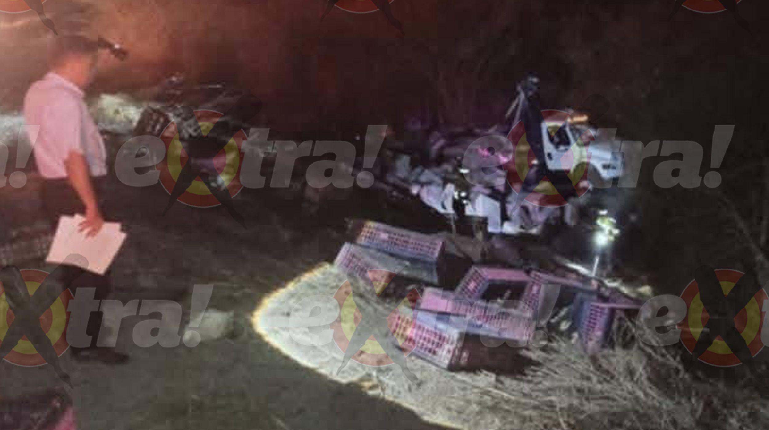 Aparatosa volcadura en la autopista Siglo XXI: Camión pollero cae al voladero