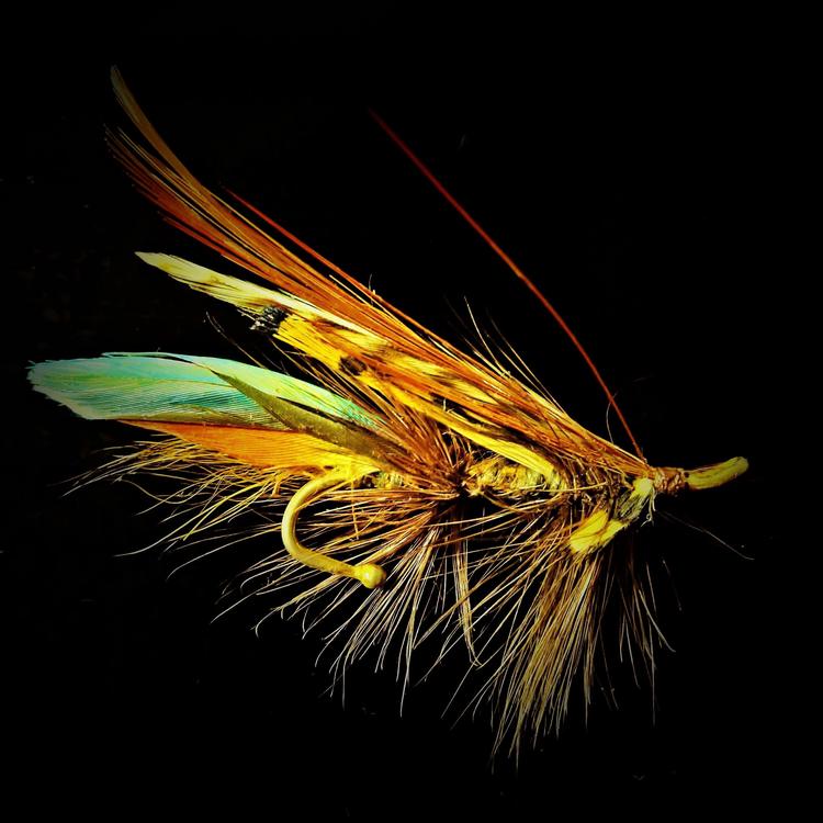 5WB THE LOCKER ROOM - SA Women’s Fly Fishing