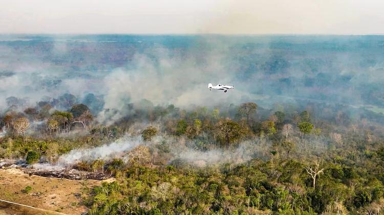 Justiça Federal dá dez dias para União, Amazonas e Pará explicarem ações de combate a incêndios na região