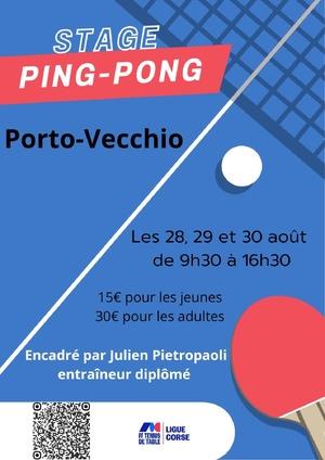 Portivechju - Un stage de Tennis de table durant trois jours