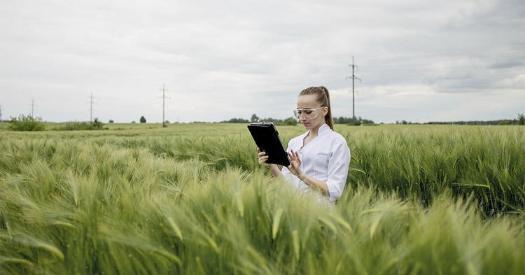 Agro brasileiro será referência na ‘segunda onda’ da IA, diz especialista