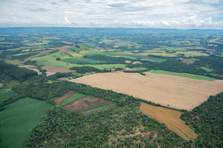 Áreas de vegetação nativa ficaram menores e mais isoladas no Brasil; país tem 3,4 milhões de fragmentos