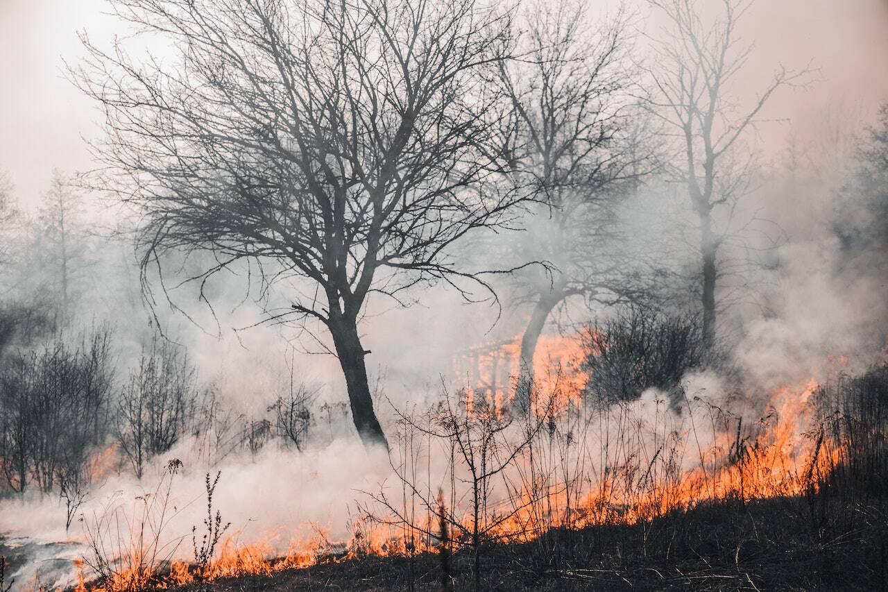 Campania, scatta l’allerta incendi boschivi: ecco tutti i divieti in vigore dal 15 giugno