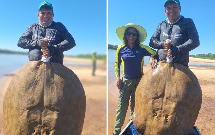 Casal se surpreende ao pescar arraia gigante durante tentativa de fisgar peixe proibido para consumo; vídeo