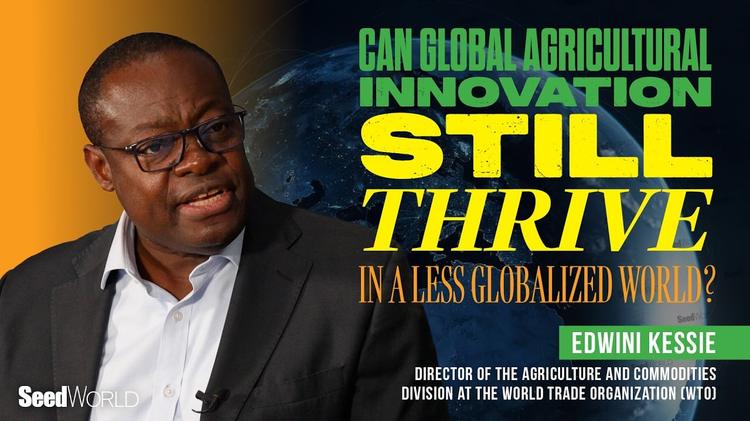 Why the Seed Industry Has a Stake in the Future of Global Trade