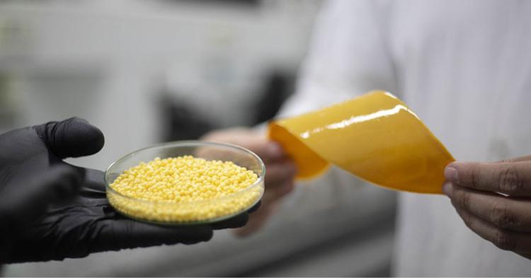 Cientistas brasileiros criam novo revestimento para liberação controlada de fertilizante