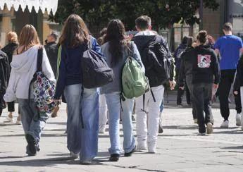 Il pediatra: "No alla carne di maiale in mensa scolastica se c'è chi non può mangiarla"