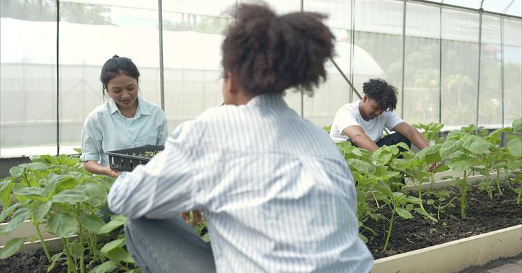 A Revolução Silenciosa: Como a Natureza Está Virando o Jogo na Agropecuária