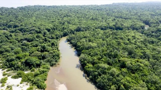 Acordo entre União Europeia e Mercosul pode transformar economia da Amazônia, avalia embaixadora