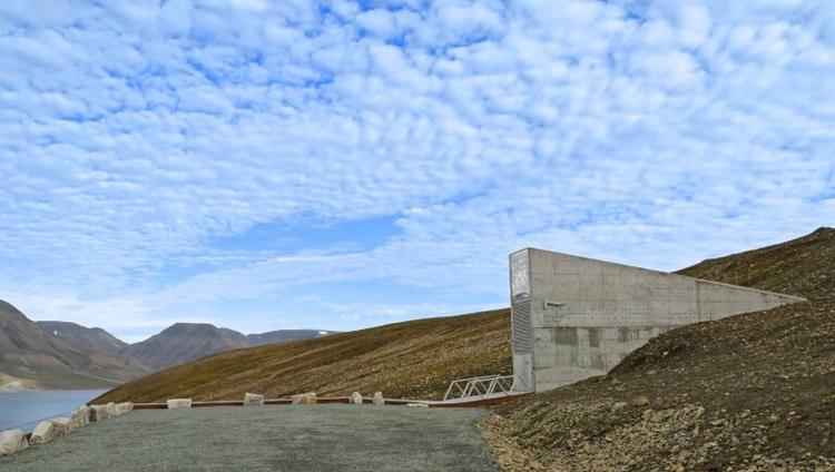 Thousands of Seed Samples Added to Svalbard Global Seed Vault