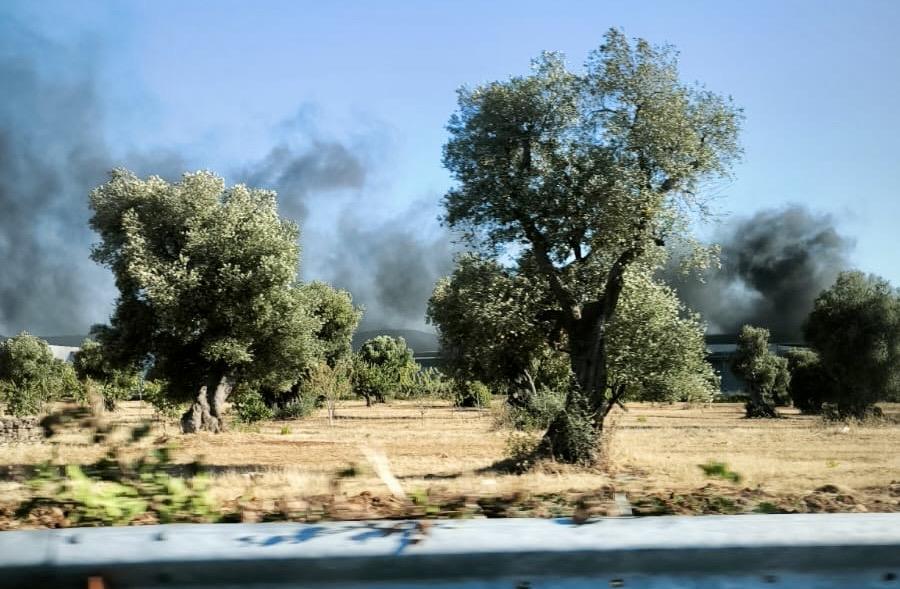 Fasano, incendio nella zona industriale: fiamme lambiscono aziende