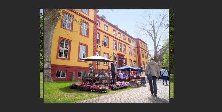  Schlitzer Burgenfrühling - Blick auf den Markt mit Ständen