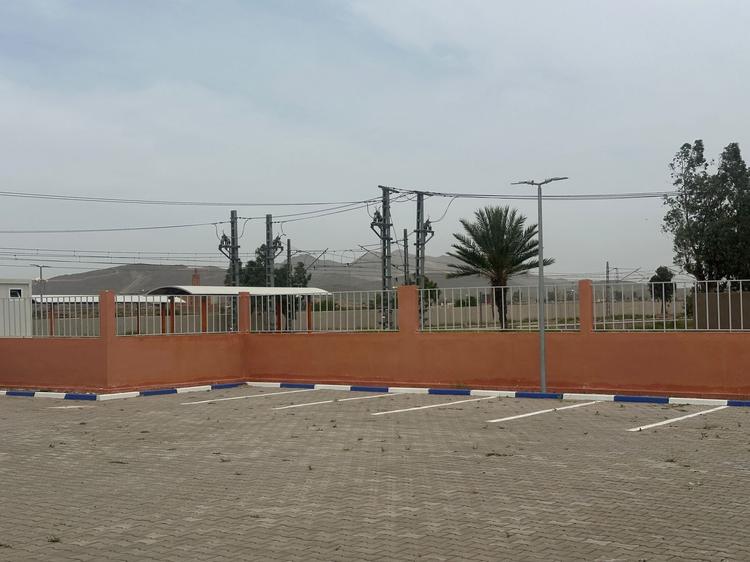 مسودة تلقائية