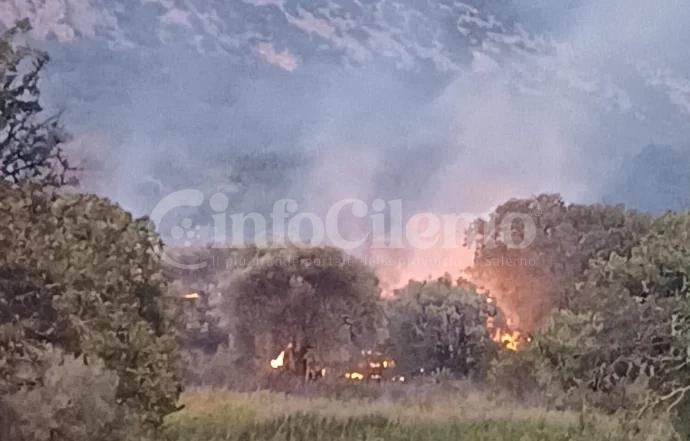 Incendio a Capaccio Paestum: fiamme nella zona rurale del Capoluogo, caschi rossi in azione
