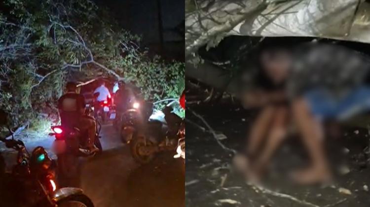 Árvore cai e bloqueia estrada em Teresina; motociclistas ficam feridos