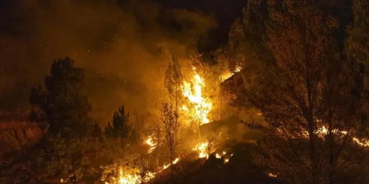 Maxi incendio in Andalusia, oltre 150 chiamate ai soccorsi: «Forse causato da un cavo elettrico». Dodici le vittime