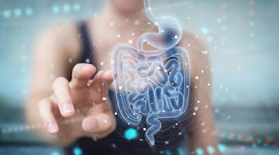 Postbiotici: cosa sono e perché se ne parla sempre di più