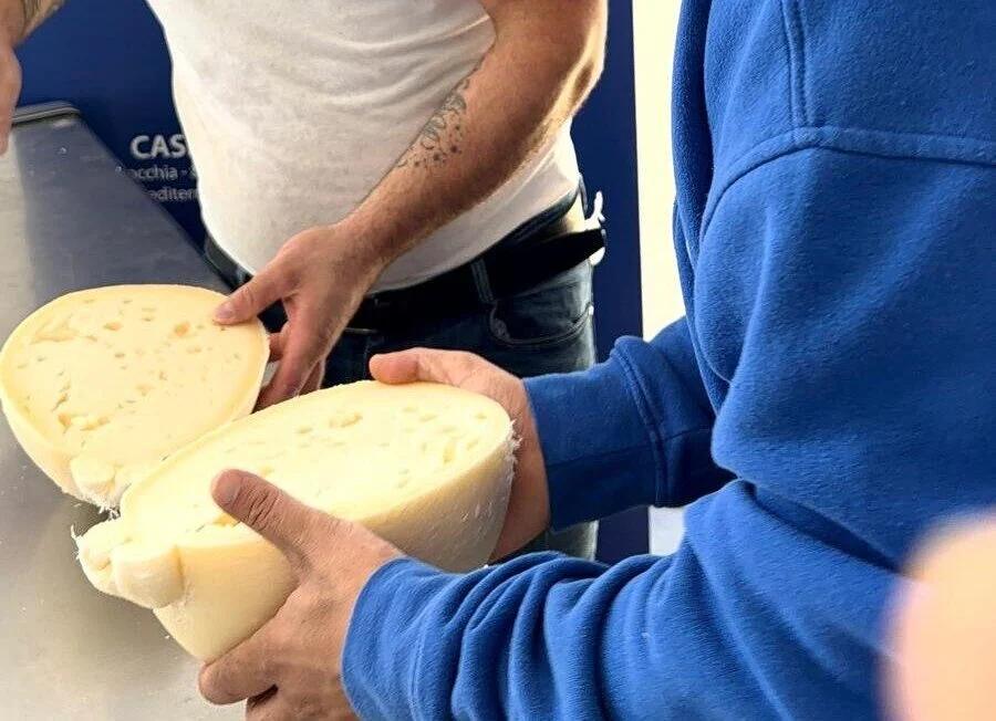 Eccellenza casearia a Sanza: il Caseificio Mediterraneo trionfa a Casearia Awards