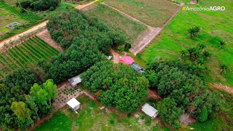 VÍDEOS: Amazônia Agro - Acre deste domingo, 30 de agosto de 2026