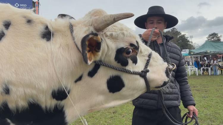 Em feira agropecuária, produtores demonstram apreensão com bloqueio a carne brasileira: 'A União Europeia nos pegou de surpresa'