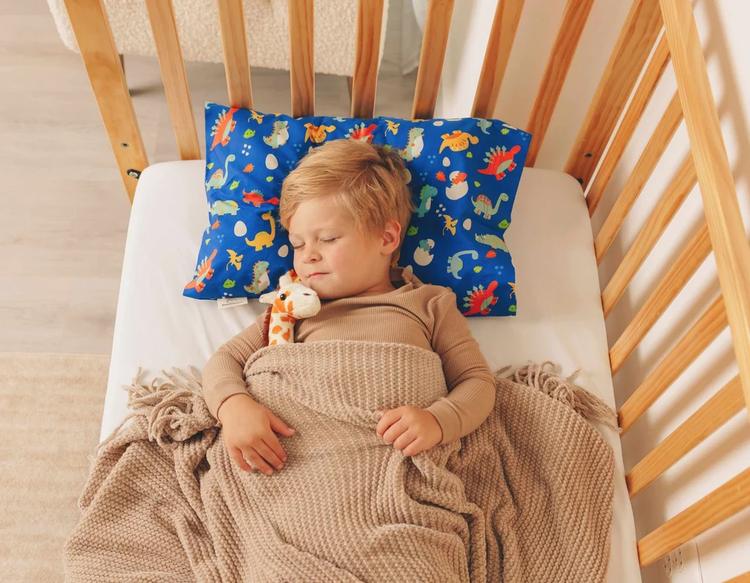 Summer Sleep Challenges for Toddlers: How To Help Your Child Sleep Well Despite Seasonal Problems