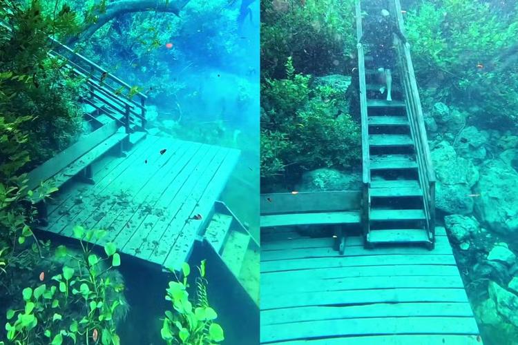 Chuva sobe nível do Rio Azul e revela cenário submerso de águas cristalinas