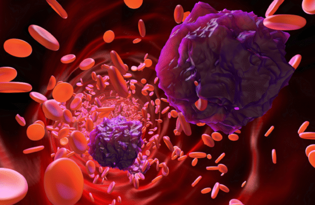 دواء جديد يحمي القلب ويعزز علاج السرطان في آن واحد