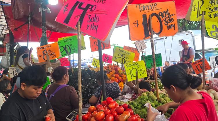 Alivia el bolsillo: baja el precio del jitomate en el Mercado ALM de Cuernavaca