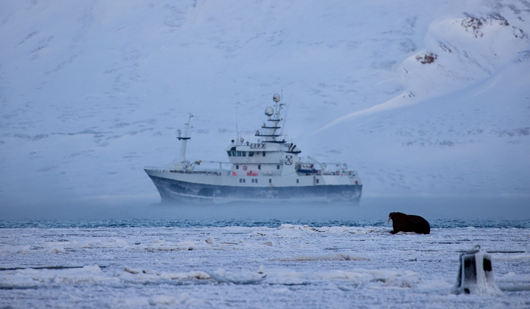 Augmentation du trafic maritime arctique