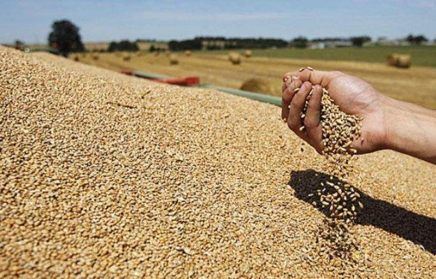 المغرب يستورد ما يقارب 5 ملايين طن من الحبوب