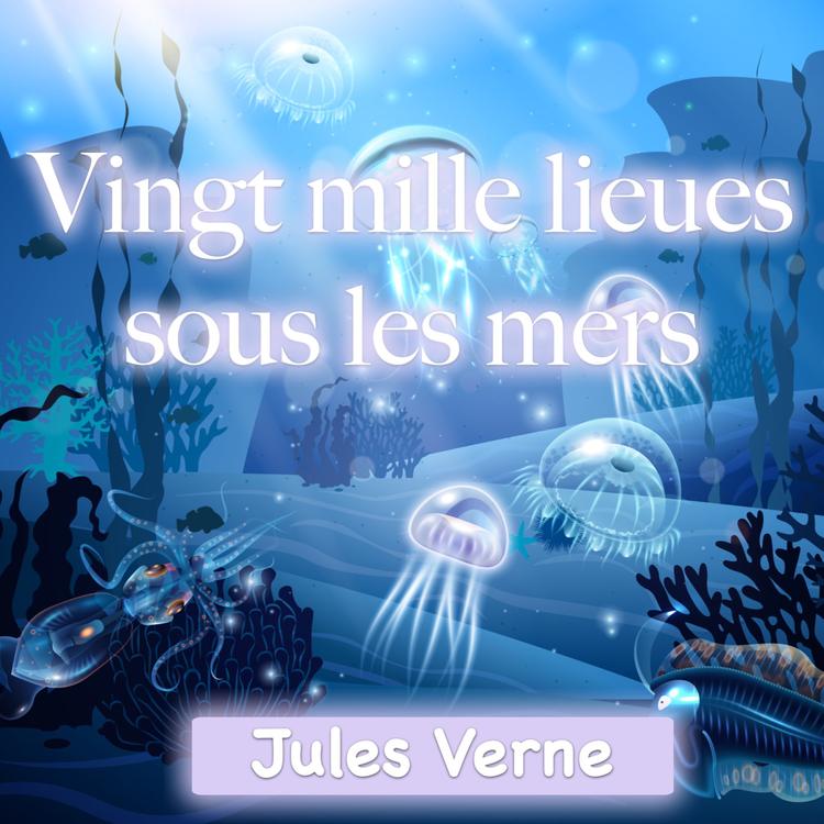 20000 lieues sous les mers. Partie 2. Chapitre 17. Du Cap Horn à l'Amazone.