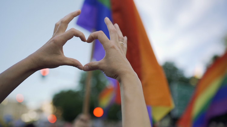 Standing Together: Empowering LGBTQ2S+ Survivors of Domestic Violence