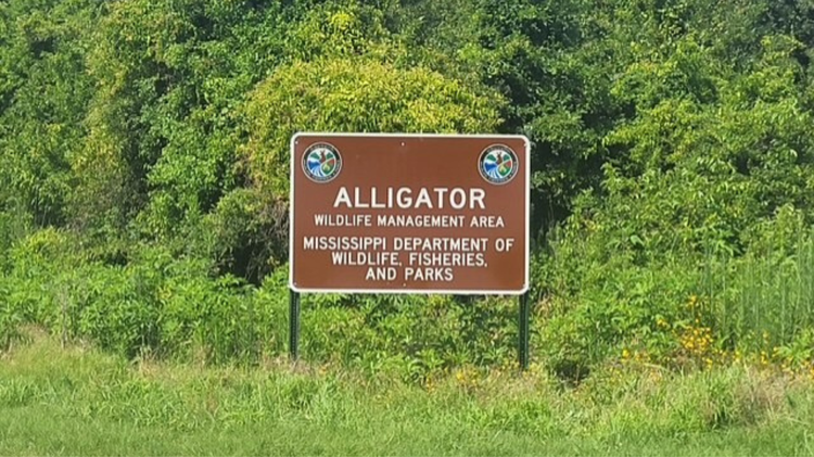 Public hunting area opening in Mississippi Delta