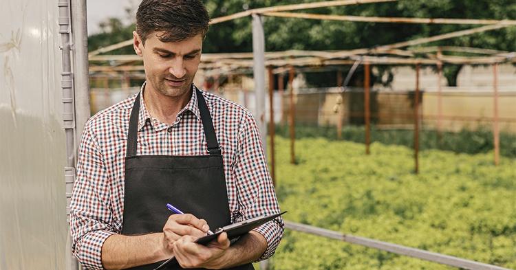 MP amplia prazos e limites para renegociação de dívidas no campo