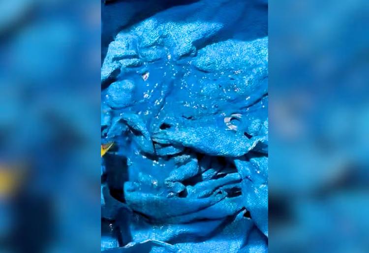 Calor de quase 40 °C faz lona derreter dentro de freezer em Palmas; entenda o fenômeno