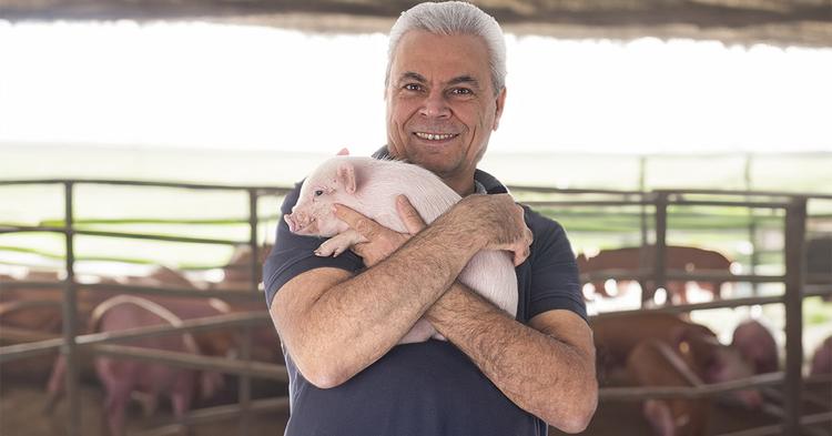 Capal projeta expansão de 30% na suinocultura com novo sistema de integração