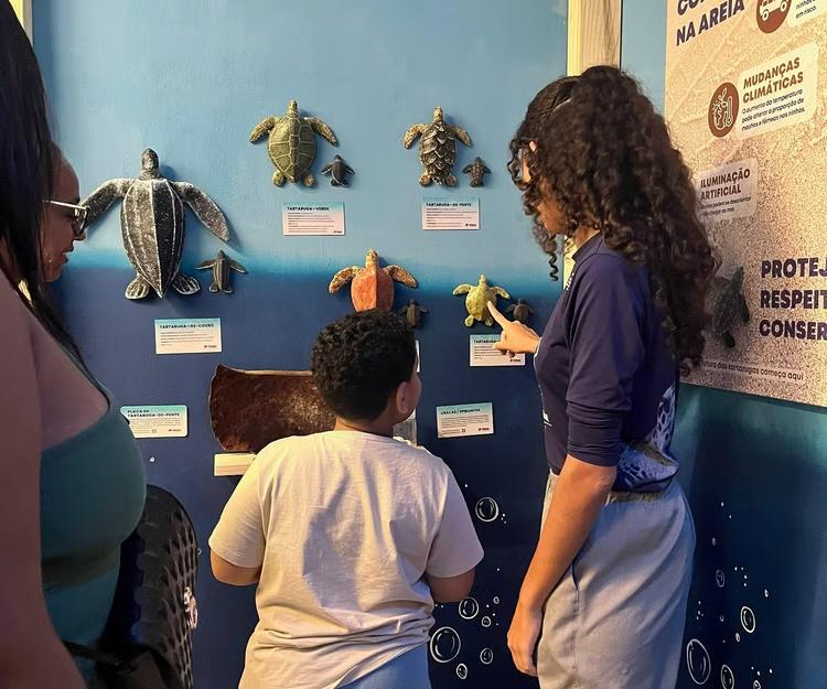 Exposição gratuita celebra o Dia Internacional das Tartarugas Marinhas em Natal