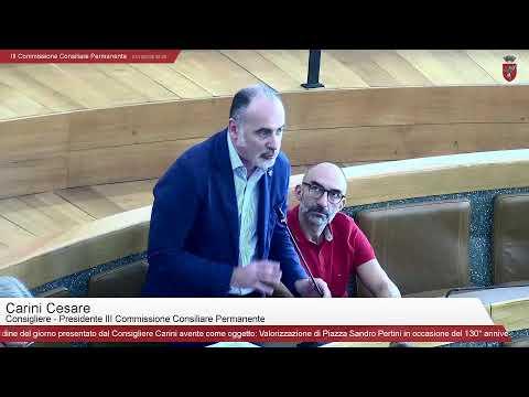 III Commissione Consiliare Permanente