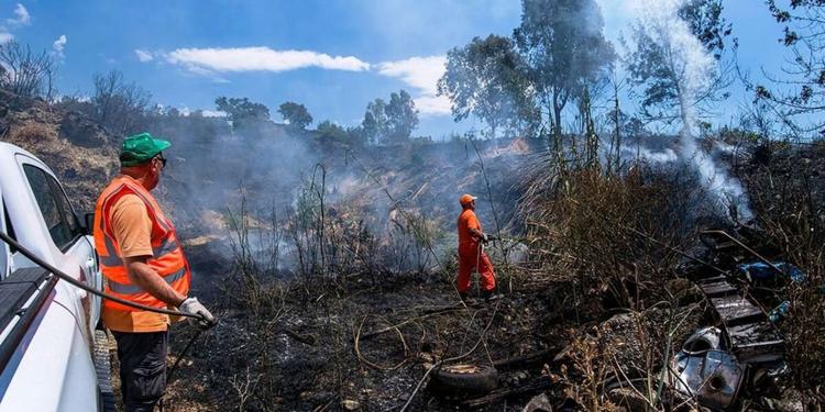 Calabria incendi boschivi “fuori stagione", già in fumo 1.543 ettari di foreste