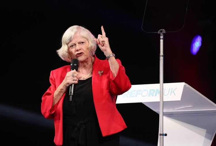 Svolta nell’omicidio di Ann Widdecombe, indaga l’antiterrorismo: fermato un 28enne