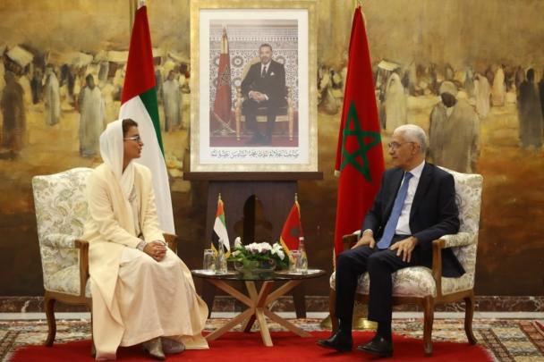 رئيس مجلس النواب يجري مباحثات مع وزيرة الدولة بالخارجية الإماراتية