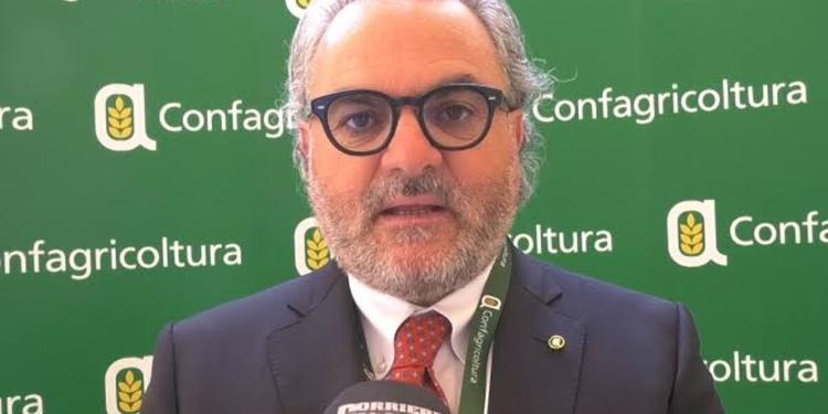 Caro carburanti, Statti (Confagricoltura) sui 15 milioni stanziati dalla Regione Calabria: «Attenzione al gasolio agricolo»