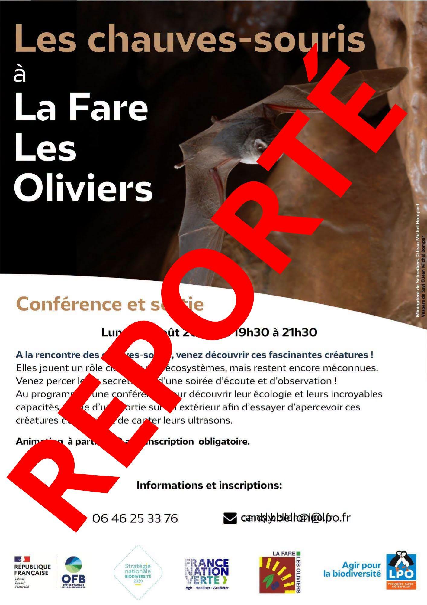 Intempéries – report de la sortie découverte des chauve-souris