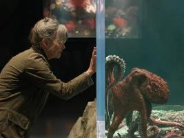 “Io non ti lascio solo” e “Creature luminose”: due film sulle ferite dell’anima tra dolore e speranza