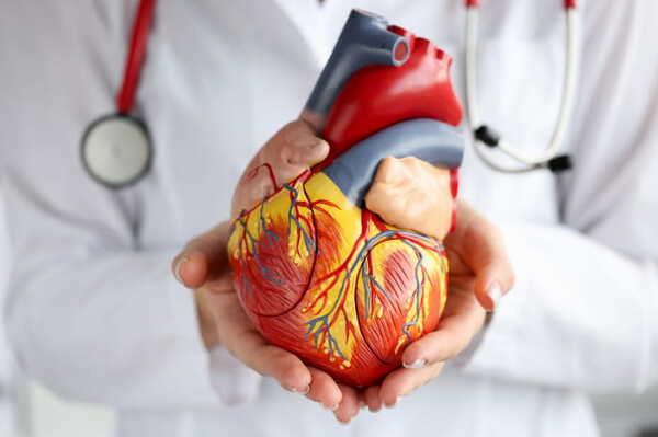 Fibrillazione atriale, nuove linee guida a confronto