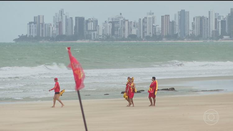 Governo de Pernambuco vai retomar monitoramento de tubarões na orla da Região Metropolitana do Recife