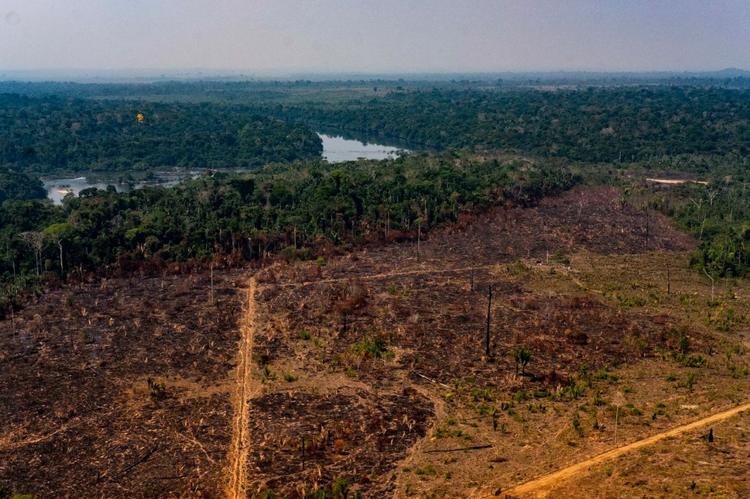 Foto colorida de área de floresta derrubada no noroeste do Mato Grosso: análise aponta que desmatamento deve levar Brasil a ter aumento nas emissões apesar da pandemia (Mayke Toscano/Secom/MT)